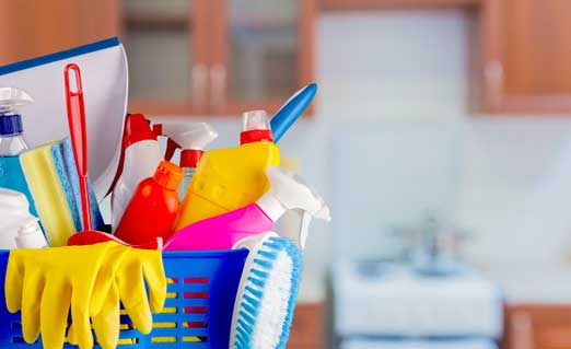 Cleaner Exmouth
