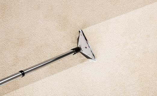 Cleaner Exmouth