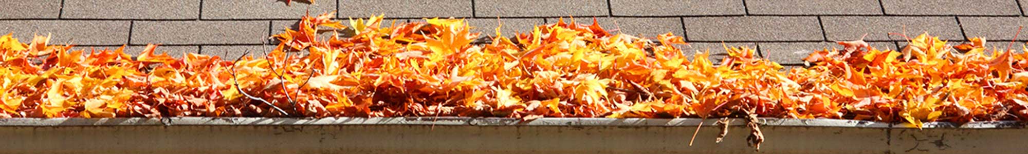 gutter-cleaning_sidmouth Gutter Cleaning Sidmouth
