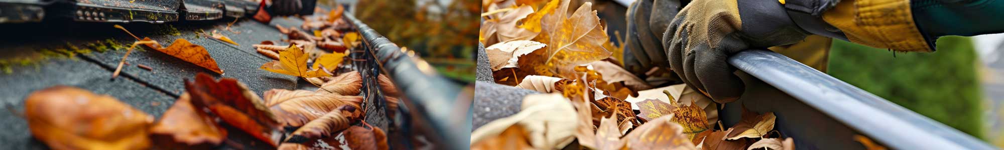 gutter_cleaning-east-devon Gutter Cleaning East Devon