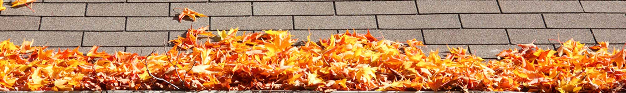 Gutter Cleaning Sidmouth