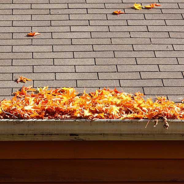 gutter_cleaning-sowton Gutter Cleaning Sowton
