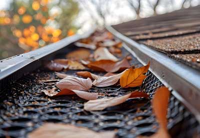gutter_cleaning_sidmouth Gutter Cleaning Sidmouth