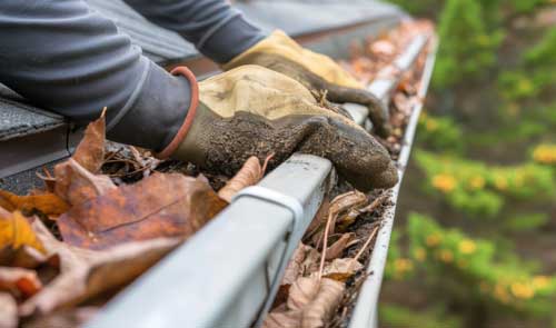 gutter_cleaning-cranbrook Gutter Cleaning Cranbrook