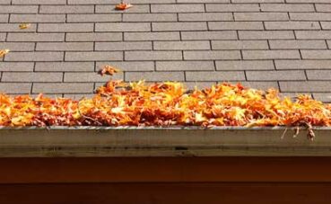 gutter_cleaning_newton-poppleford Gutter Cleaning Newton Poppleford